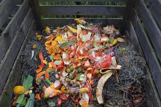 Ateliers compostages et jardinage zero-déchets