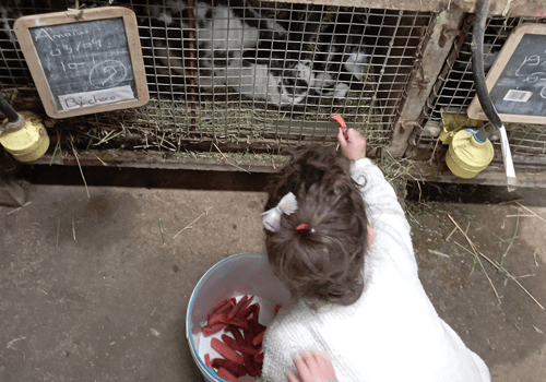 Mercredi 24 septembre VISITES à la ferme