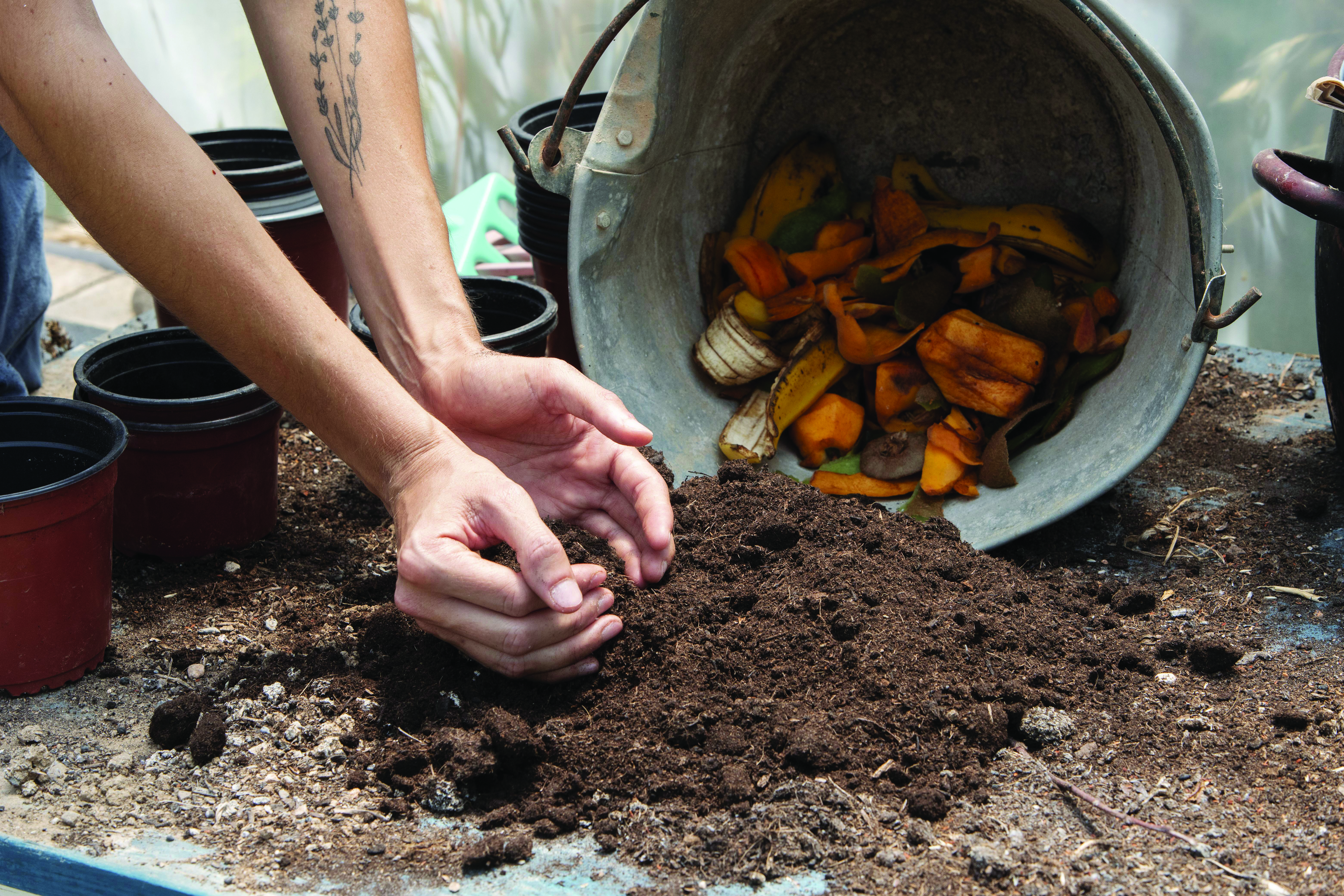 le pouvoir caché du compost